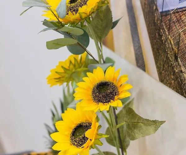 Apartment Bestvillas Ancora Doca Praia Vila Praia de Âncora